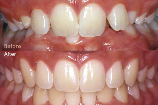 Vital Orthodontics for Dentists
