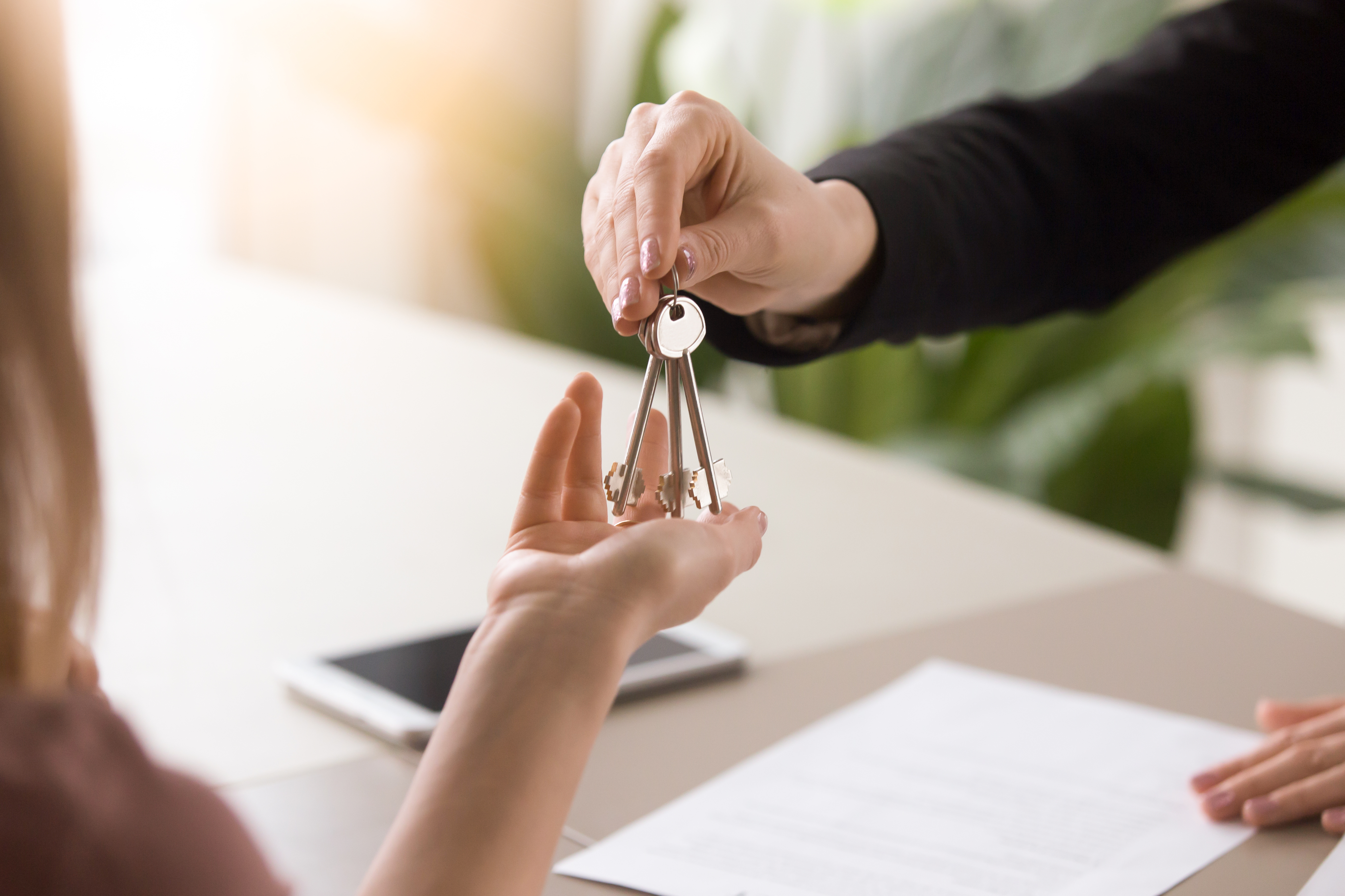 Building a Practice - Negotiating a Lease